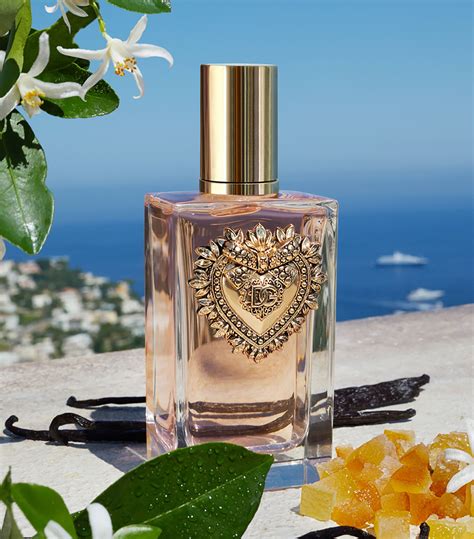 devotion dolce gabbana notes olfactives|devotion dolce and gabbana perfume.